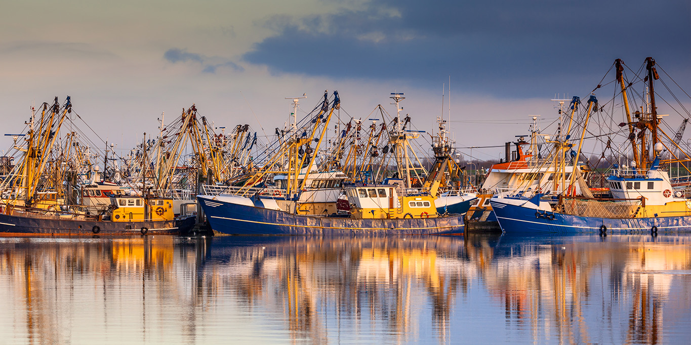 Fishing Boats